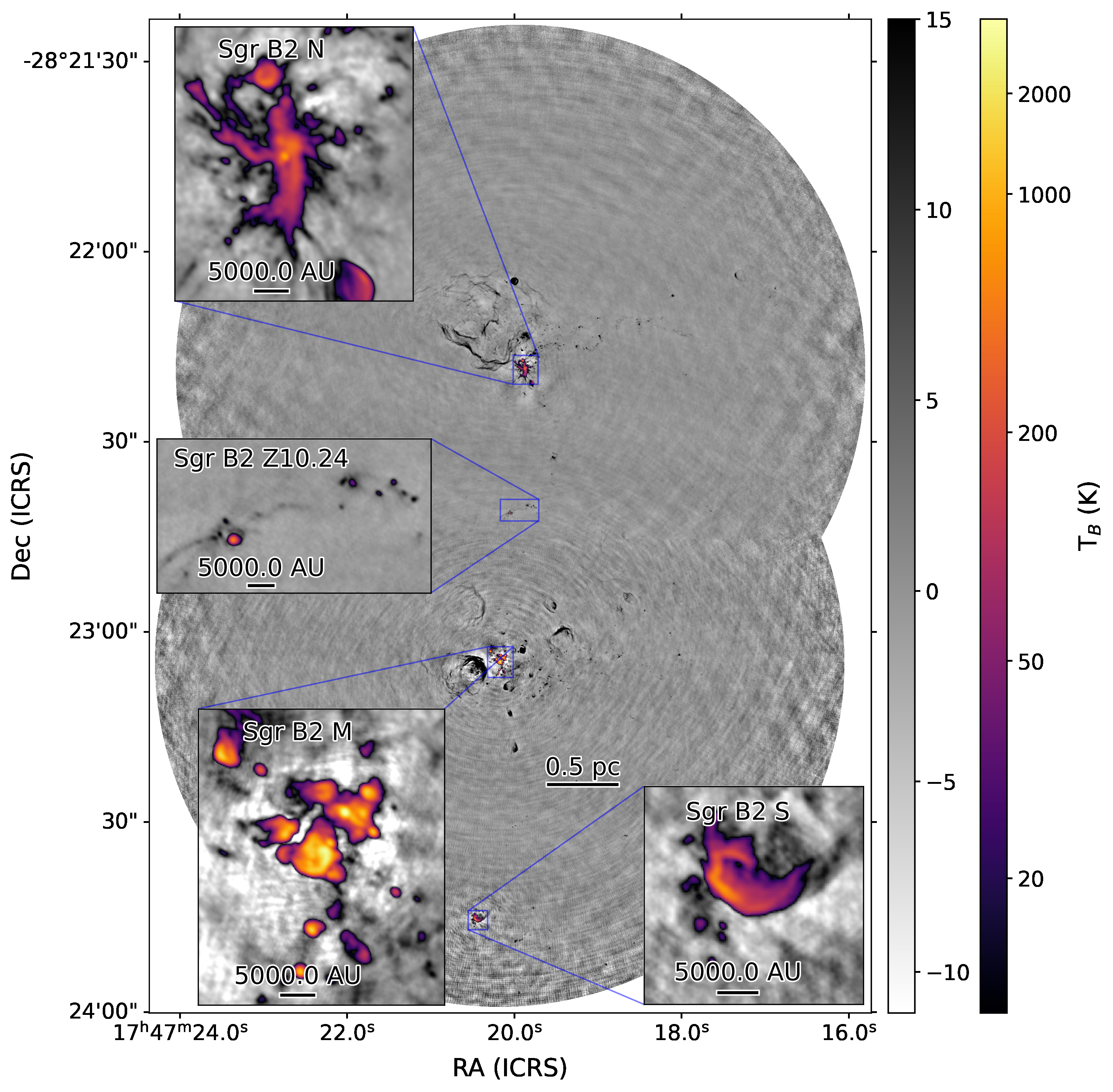 Protostellar core distribution from Budaiev et al. 2024 - extracted from arXiv:2309.14407